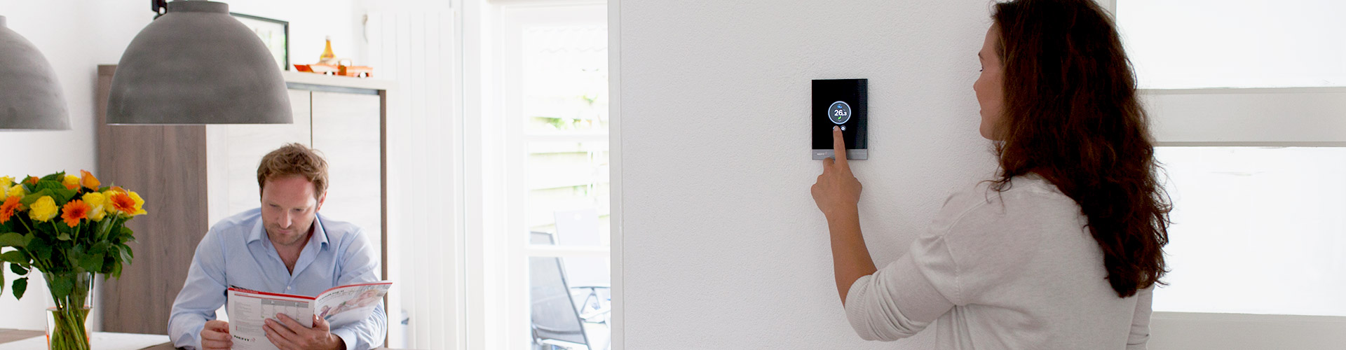 Yellow Lemon Tree - Feiken